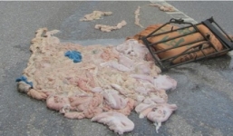 Xe máy đâm ôtô, nầm lợn thối vung vãi khắp quốc lộ