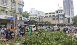 Cận cảnh hàng chục cây cổ thụ bị đốn hạ, nhường chỗ cho ga điện ngầm