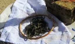 Đào trúng 2 ngôi mộ chứa vàng khi thi công chốt an ninh