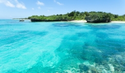 Nhật thu hồi quyết định rao bán đảo vì Trung Quốc muốn mua