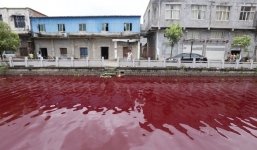 Kỳ lạ: Dòng sông bỗng chuyển màu đỏ như máu 