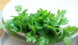 Tác hại nguy hiểm chết người của cây ngải cứu