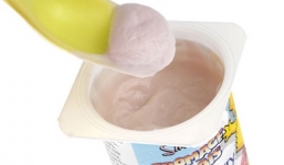 Lo ngại đánh bom TQ cấm mang sữa chua trên xe bus