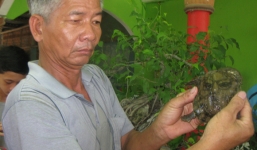 Ba ba hình mặt người, giá chục triệu không bán