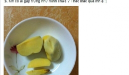 Trứng gà bóp không vỡ, đốt cháy khét xuất hiện ở Hà Nội