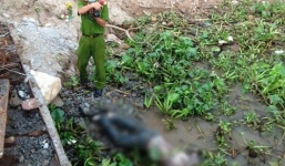 Lý giải nguyên nhân xác chết bị trói hai chân trôi trên sông Tiền