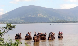 Đại gia Tây Nguyên và đám ma voi hiếm có