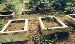 Nữ đại gia bí ẩn mua đất xây 'lâu đài' cho thú vật