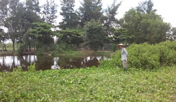 Thi thể bé gái lõa thể nổi trên mặt hồ, nghi bị hiếp dâm