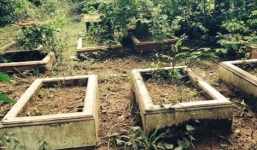 Nữ đại gia Sài Gòn xây lâu đài cho thú vật