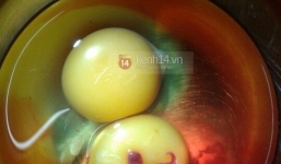 Phát hiện sinh vật lạ trong lòng đỏ trứng gà