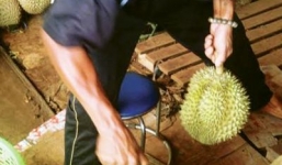 Truy tìm hóa chất cực độc giúp trái cây một tháng vẫn... tươi