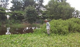 Phẫn nộ những thi thể bé gái bị biến thành đàn bà