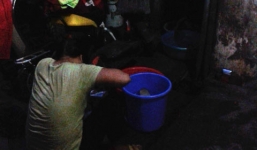 Nỗi ân hận của cô gái quê ham lấy chồng phố cổ