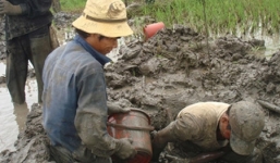 Đào 'nghĩa địa' tìm báu vật gỗ mục thời tiền sử