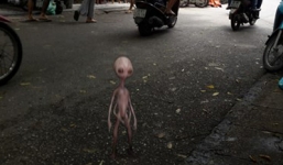 “Người ngoài hành tinh đến Hà Nội” - Trò hề rẻ tiền