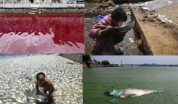 Kinh hoàng những dòng sông 'chết' đỏ như máu, cá chết trắng