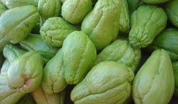 Lợi ích đối với sức khoẻ từ quả su su