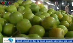 Sự thật bất ngờ về hoa quả rừng đắt khét ở sân bay Nội Bài