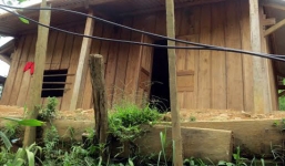 Bi kịch khó tin từ cuộc sống loạn luân giữa rừng