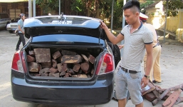 700kg gỗ trắc lậu bị thu giữ trên đường vận chuyển