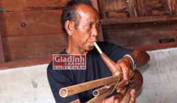 Thực hư chuyện người bỏ vợ để “kết duyên” với… đười ươi 