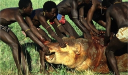 Thăm bộ tộc bắt cá sấu, hà mã làm thức ăn