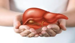 Những dấu hiệu cho thấy gan bạn đang bị nhiễm độc