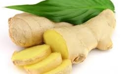 Tác hại nguy hiểm của gừng tươi