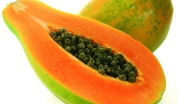 Những loại thực phẩm cực tốt cho dạ dày