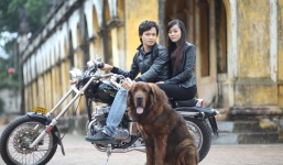 Trang trại chó đắt nhất hành tinh của đại gia Quảng Ninh