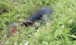 Thi thể thầy giáo thể dục mất tích 5 ngày ở bãi đất hoang