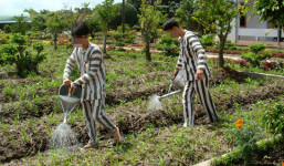 Minh “mèo” và đường dây mua bán chất gây nghiện trong trại giam (kỳ cuối)