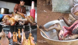 Bữa ăn tàn độc và sự báo oán không thể tránh