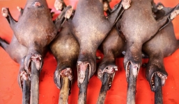 Rùng mình khám phá khu chợ món ăn kinh dị 