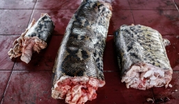 Rùng mình khám phá khu chợ món ăn kinh dị 