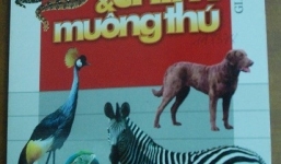 Truyện cổ tích có nội dung 18+: Do bạn đọc suy diễn phản cảm