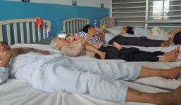 Uống rượu huyết trăn, 11 người trong gia đình nhập viện