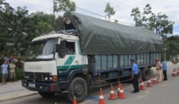 Xe 'siêu khủng' chở gỗ bị bắt giữ