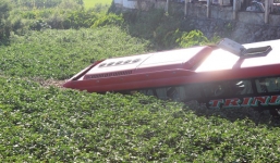 Tránh xe ngược chiều, xe khách chở 40 người “cắm đầu” xuống ruộng