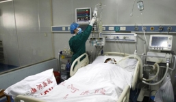 Việt Nam phát hiện virut cúm có độc lực cao từng gây chết người