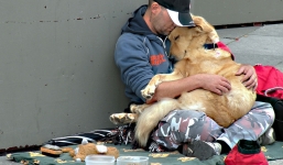 Cảm động chú chó trung thành bảo vệ chủ dù bị đói