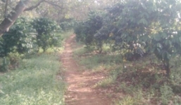 Chồng hờ nhiều lần trói con gái người tình để cưỡng hiếp