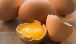 Những loại thực phẩm vẫn dùng được sau khi hết hạn sử dụng