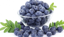 6 lý do bạn cần ăn việt quất ngay lập tức để có sức khỏe vàng