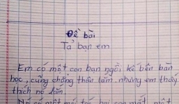 Bài văn tả bạn gái gây bão mạng