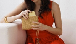 Bí mật trong chiếc túi xách của vợ