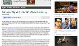 Vụ 'gái miền Tây và 3 chữ N': Đình bản báo Trí Thức Trẻ, phạt 207 triệu