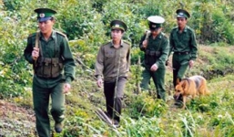 Phận làm vợ 'bất đắc dĩ' và cuộc chạy trốn liều lĩnh