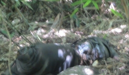 Xác chết mất đầu bị treo lên cành cây đang phân hủy, bốc mùi hôi thối